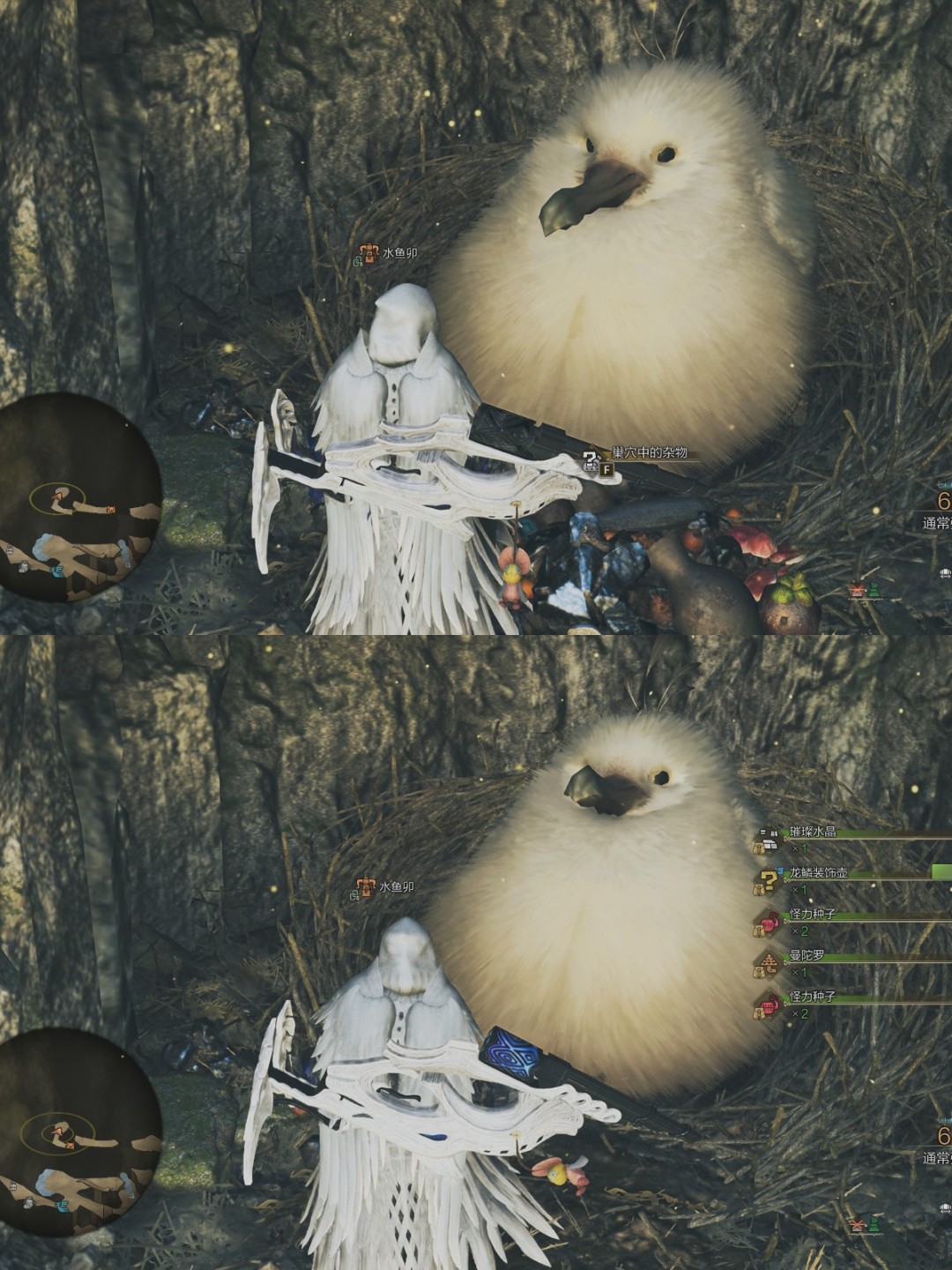 《怪物猎人：荒野》巨大柔毛秧鸡具体位置介绍